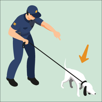 Police dog