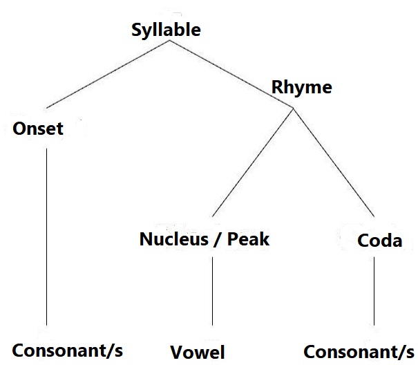 parts of syllable